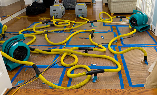 Professional Sewage Cleanup technician working in Chelan Falls, WA